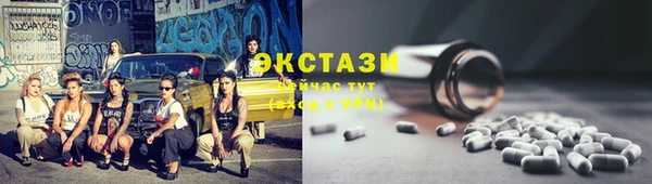 мдпв Богородицк