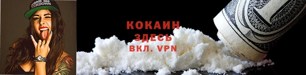 мдпв Богородицк