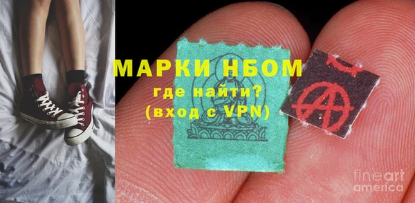 мдпв Богородицк