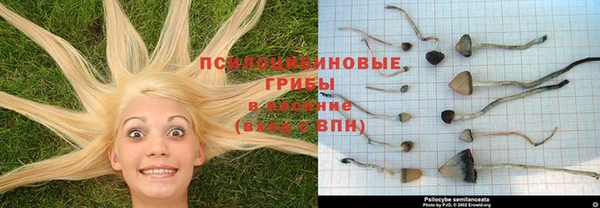 2c-b Богданович