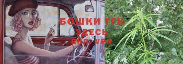 мдпв Богородицк