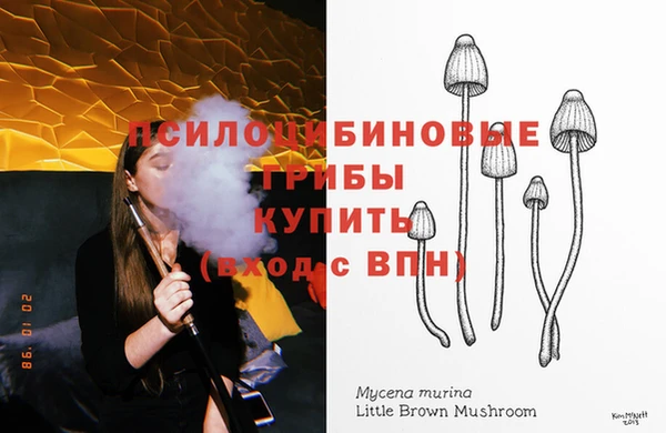 2c-b Богородск